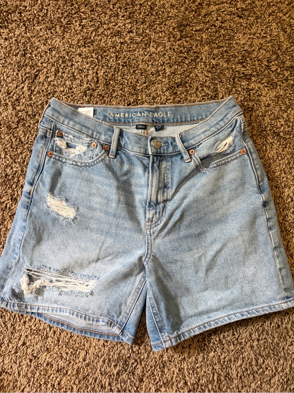 American Eagle Outfitters Light Blue Distressed Denim Cutoff Shorts